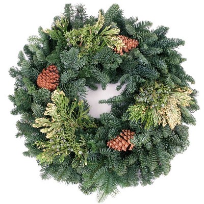 Live Fresh Cut Pacific Northwest Mixed 16" Wreath with Cones - Van Zyverden