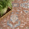 Nourison Astra Machine Washable Vintage Bordered Indoor Rug - 3 of 4