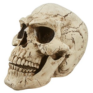 Design Toscano Sinister Simon Giant Skull Sculpture - 1 of 4