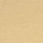 champagne bronze