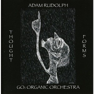 Adam Rudolph - Thought Forms-Go: Organic Orchestra (CD) - 1 of 1