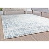 Rugs America Atlas Transitional Vintage Area Rug - 3 of 4