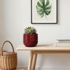 Wooakway 22" Dia Outdoor Indoor Ceramic Planter Pot Decorative Planter with Drainage Hole Patio Flower Pot - 3 of 4