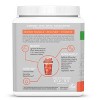 Active Essential Amino Acids, Repair Muscle, Recover & Hydrate,  Sunwarrior, Mango Flavor, 30 Servings - 3 of 4