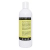 Plantlife Lemongrass Foam Soap Refill – Moisturizing, Plant-Based for All Skin Types – Hand & Body Wash, Shaving, Kids’ Foaming Fun – 16oz - 2 of 3