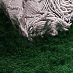 (usa) pure green