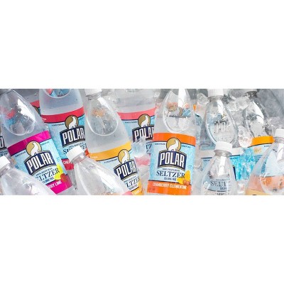 Polar Seltzer Lemon - 20 fl oz