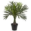 Nearly Natural Areca, Fountain & Banana Palm Artificial Trees (Set of 3) - image 3 of 4