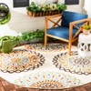 Veranda VER092 Power Loomed Indoor/Outdoor Rugs - Safavieh - 3 of 4