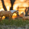 Breyer: Horses The Traditional Series - Ebony Shines and Charlize - 3 of 4