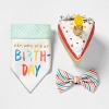 Reversible Birthday/Adoption Day Dog Bandana Collar Slide - Boots & Barkley™ - image 4 of 4