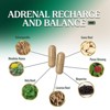 Adrenal Support Supplement 1300mg Natural Stress Relief & Cortisol Manager Pills - 60 Capsules By Nature's Nutrition - 3 of 4