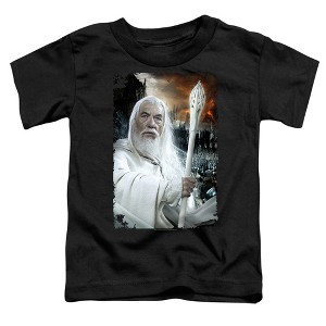 Toddler Boys' The Lord Of The Rings Gandalf The White T Shirt - 1 of 2