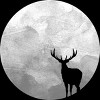 Boy's Design By Humans Deer Moon By Expo T-Shirt - 2 of 2