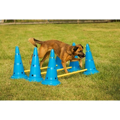 Adjustable Blue and Yellow Plastic Dog Agility Set