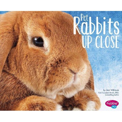 Pet Rabbits Up Close - (Pets Up Close) by  Jeni Wittrock (Paperback)