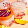 Tree Hut Tropical Mango Shea Sugar Scrub 18oz - image 4 of 4