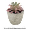 Unique Bargains Artificial Plants Plastic Pink 2.36"x2.36"x2.76" 1 Pcs - 3 of 4