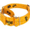 Country Brook Petz 1 1/2 Inch Martingale Dog Collar - Summer Breeze Collection - 3 of 4