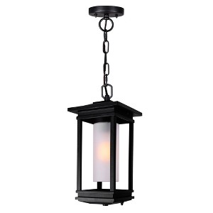 CWI Lighting,Granville 1 Light Black Outdoor Hanging Light - 1 of 4