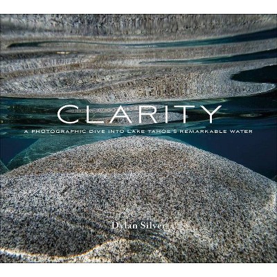 Clarity - by  Dylan Silver (Hardcover)