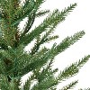 Puleo 2' Pre-Lit Artificial Green Potted Arctic Fir Tree - 2 of 4