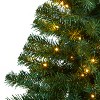 Nearly Natural 4-ft Northern Tip Pine Artificial Christmas Tree with 100 Clear LED Lights - 3 of 4
