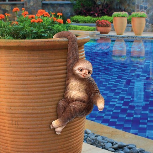sloth hanging