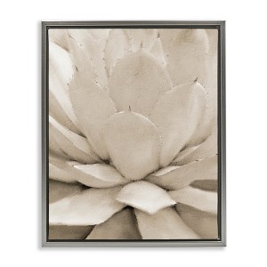 Stupell Industries Prickly Agave Plant Monochromatic Beige Desert Succulent Floating Frame Canvas Art - 1 of 4