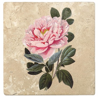 Christmas by Krebs Set of 4 Ivory and Pink Tree Peony Square Coasters 4"