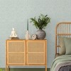 Caress Texture Green Wallpaper - 2 of 4