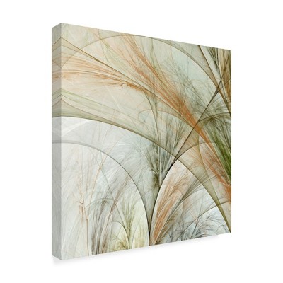 Trademark Fine Art -James Burghardt 'Fractal Grass Iii' Canvas Art