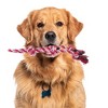 Unique Bargains Knots Shape Dog Chew Rope Rose Red White 1 Pc - 4 of 4