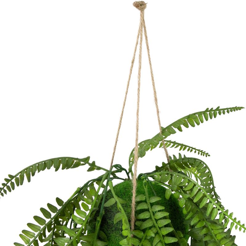 Northlight 18" Artificial Fern Plant with Moss Ball and Hanging Jute Cord, 4 of 7