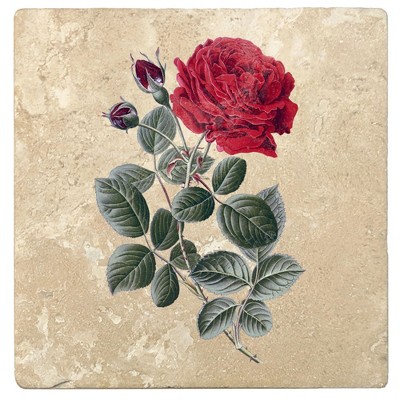 Christmas by Krebs Set of 4 Green and Red General Jacqueminot Rose Square Coasters 4"