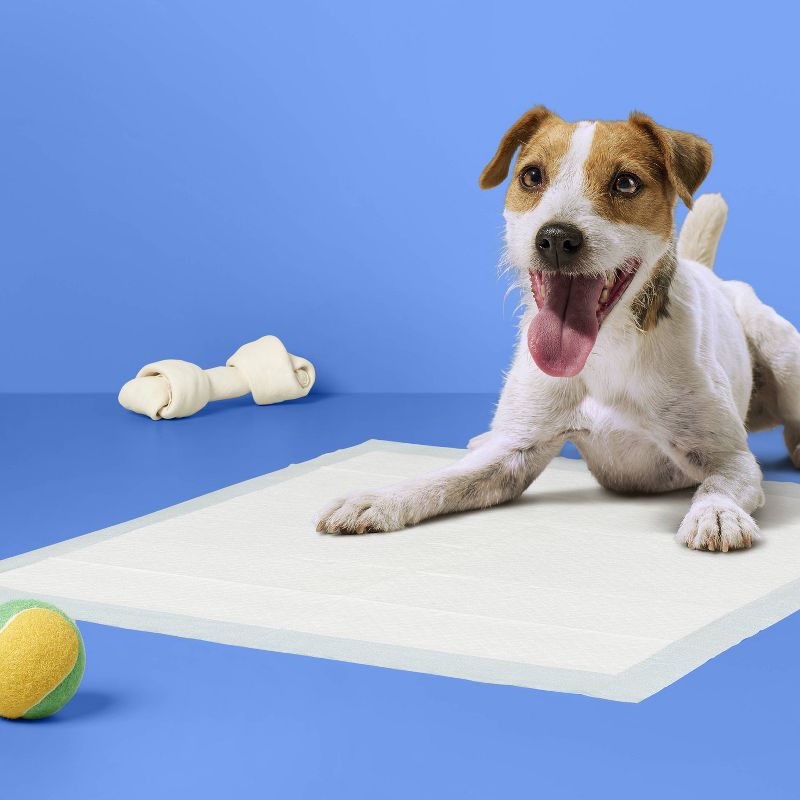 Dog Training Pads - L - up & up™, 2 of 5