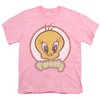 Boys' Short Sleeve Looney Tunes Retro Tweety T-Shirt - 2 of 4