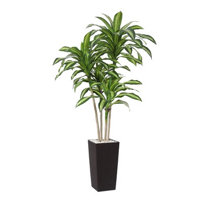DR.Planzen UV Resistant Artificial 6-7FT Tall Pre Potted Dracaena Tree with White/Brown Tall Square Planter for Indoor Outdoor House Home Decor