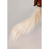 HalloweenCostumes.com M  Boy  Kid's Disney Tangled Maximus Halloween Costume | Disney Costumes, Brown/Red/Brown - 4 of 4