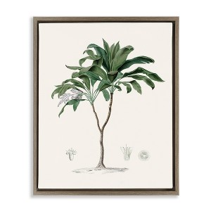 Stupell Industries Vintage Palm Study Floating Frame Canvas Art - 1 of 4