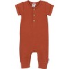 Gerber Baby Boys 2 Pack Long Leg Romper - 3 of 4