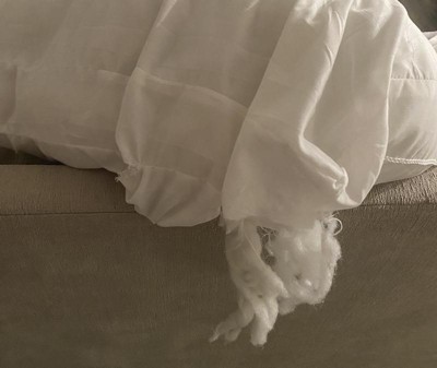 Standard/queen Overfilled Plush Bed Pillow - Room Essentials™ : Target
