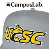 University Of California Santa Cruz Primary Logo Foam Trucker Cap Grey Os - 4 of 4