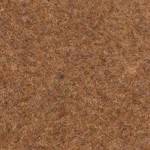 chestnut