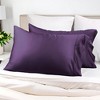 300 Thread Count Rayon From Bamboo Solid Set of 2 Pillowcase Set by Blue Nile Mills - 2 of 4