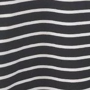 black and white stripes