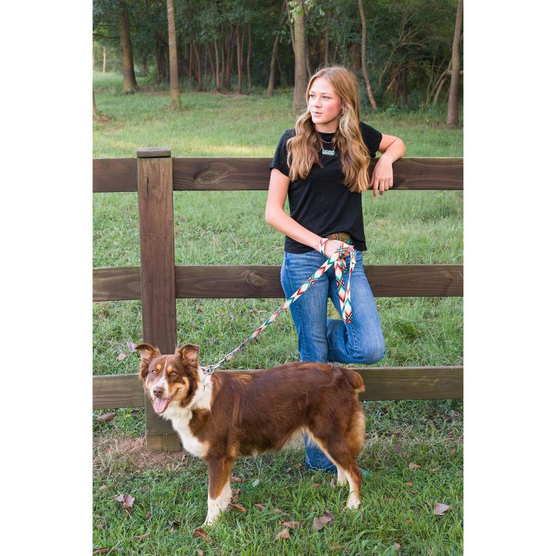 Country Brook Petz Deluxe Cheyenne Arrows Dog Leash, 2 of 5