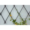 Achla Designs 43" Traditional Wall Mounted Lattice Iron Garden Trellis Graphite Powder Coat Finish: Corrosion-Resistant, Includes Hanging Hardware - 3 of 4