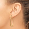 Black Bow Jewelry 2mm x 40mm 14k Yellow Gold Satin & Diamond-Cut Round Hoop Earrings - 3 of 4