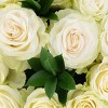Dozen Fresh Cut Vibrant Roses - 3 of 4